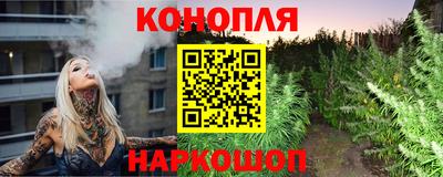 spice Брянск