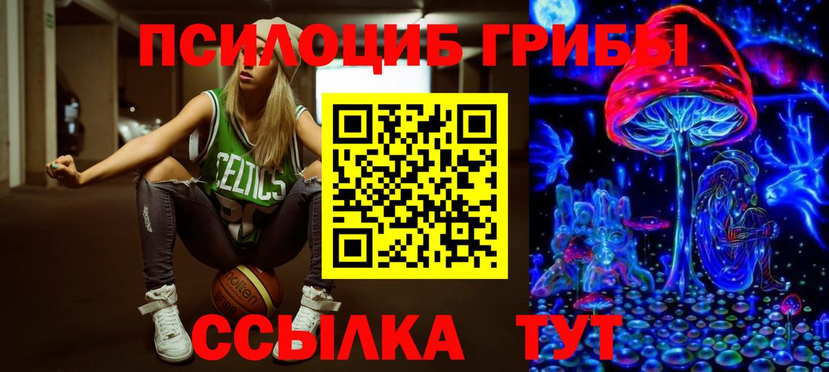 Псилоцибиновые грибы Psilocybine cubensis  Вход с VPN  Владикавказ 